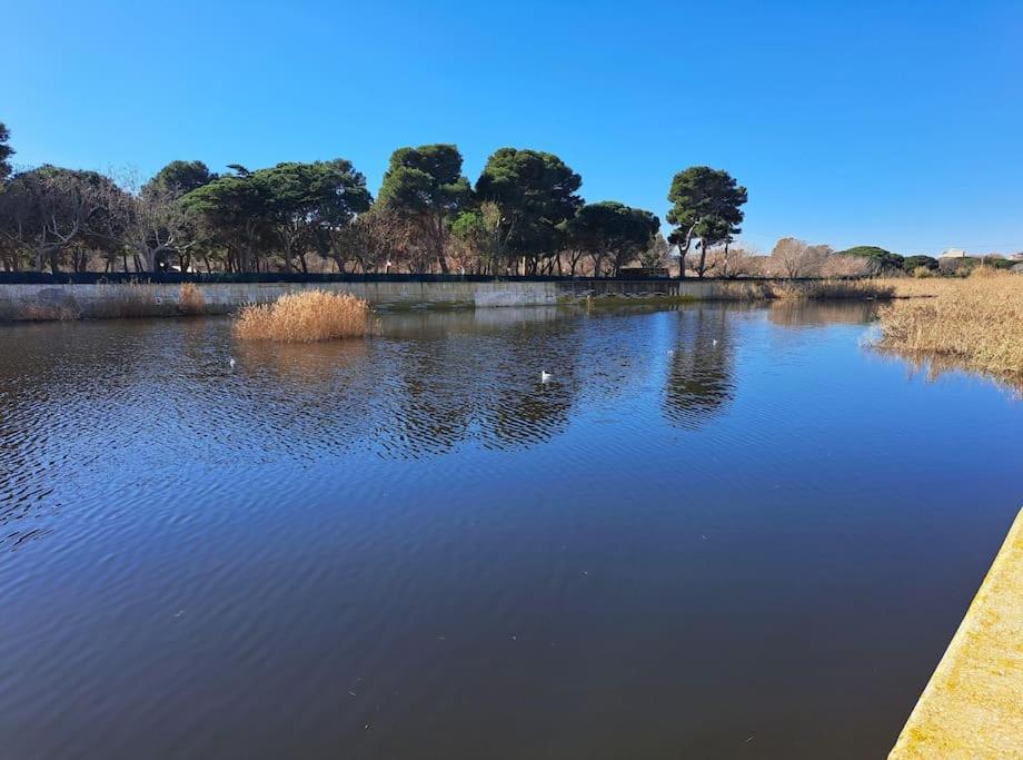Apartamento A 50 Metros De La Playa. Platja d'Aro Dış mekan fotoğraf